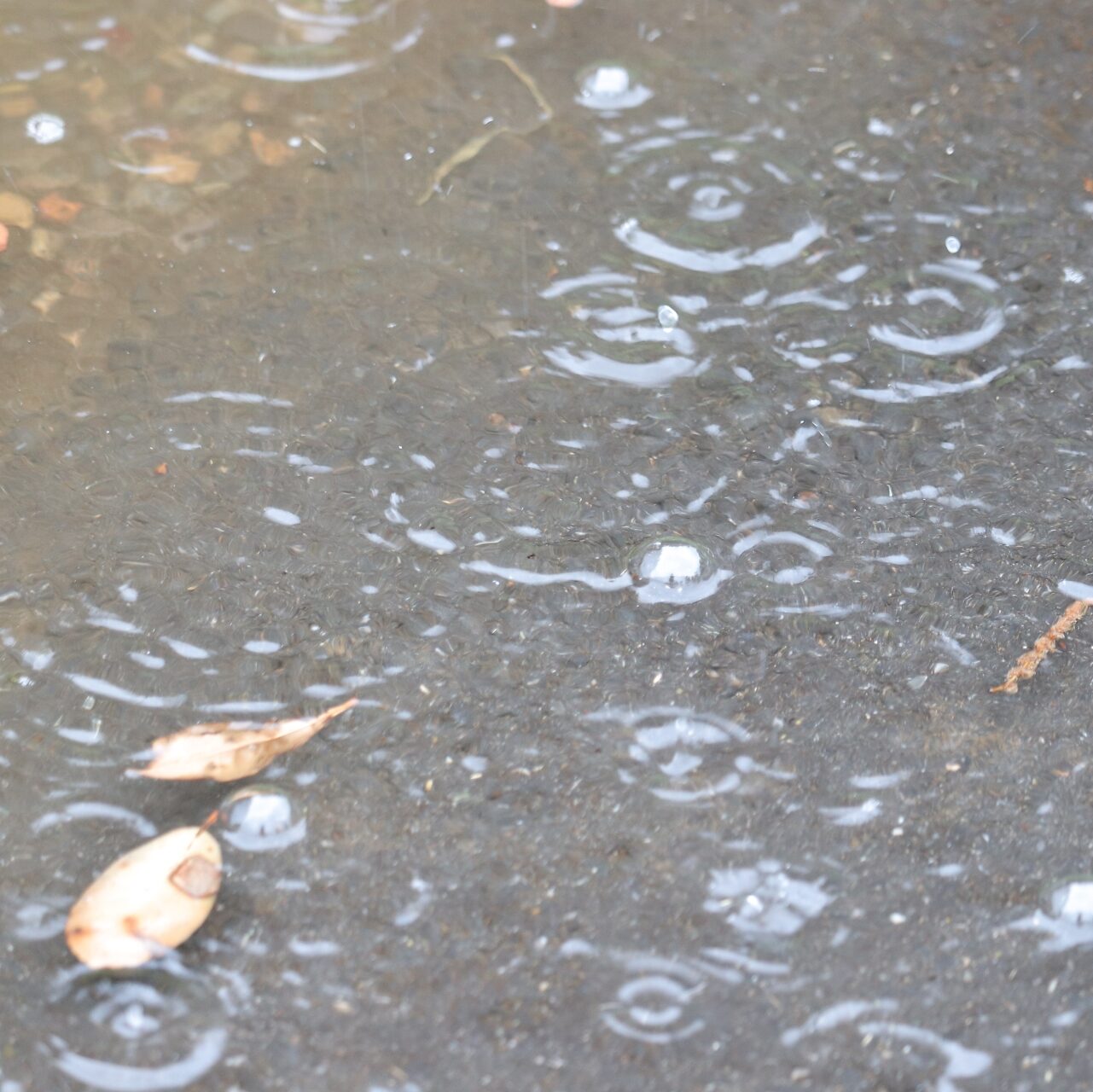 雨の水たまり