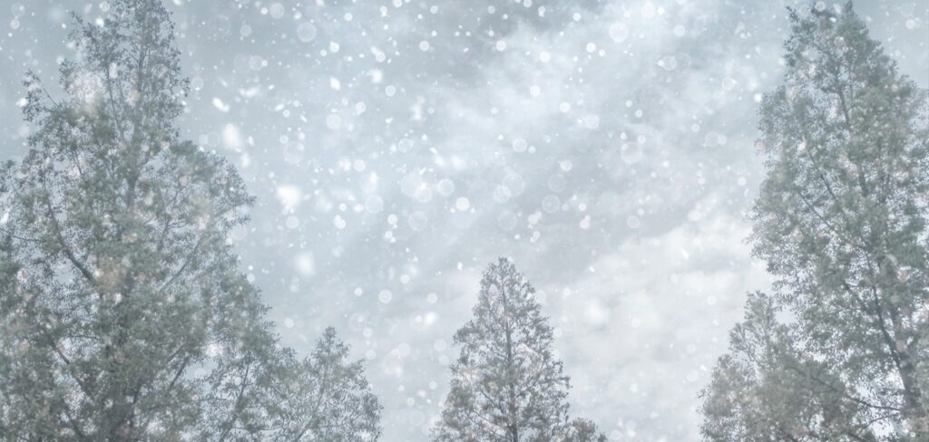 冬の雪景色