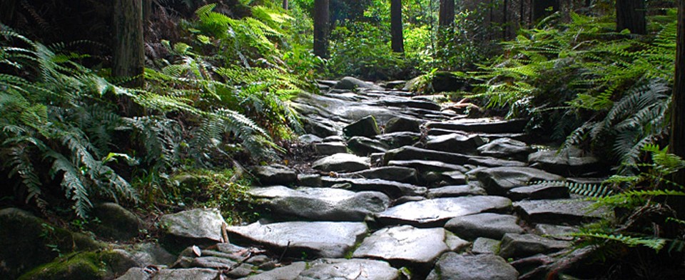 熊野古道キャンプ場